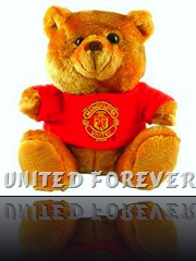 Man United Teddy Bear...